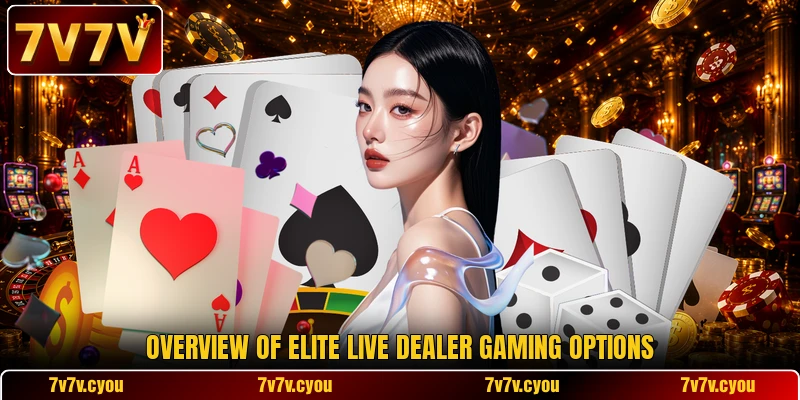 Overview of elite live dealer gaming options Overview of elite live dealer gaming options